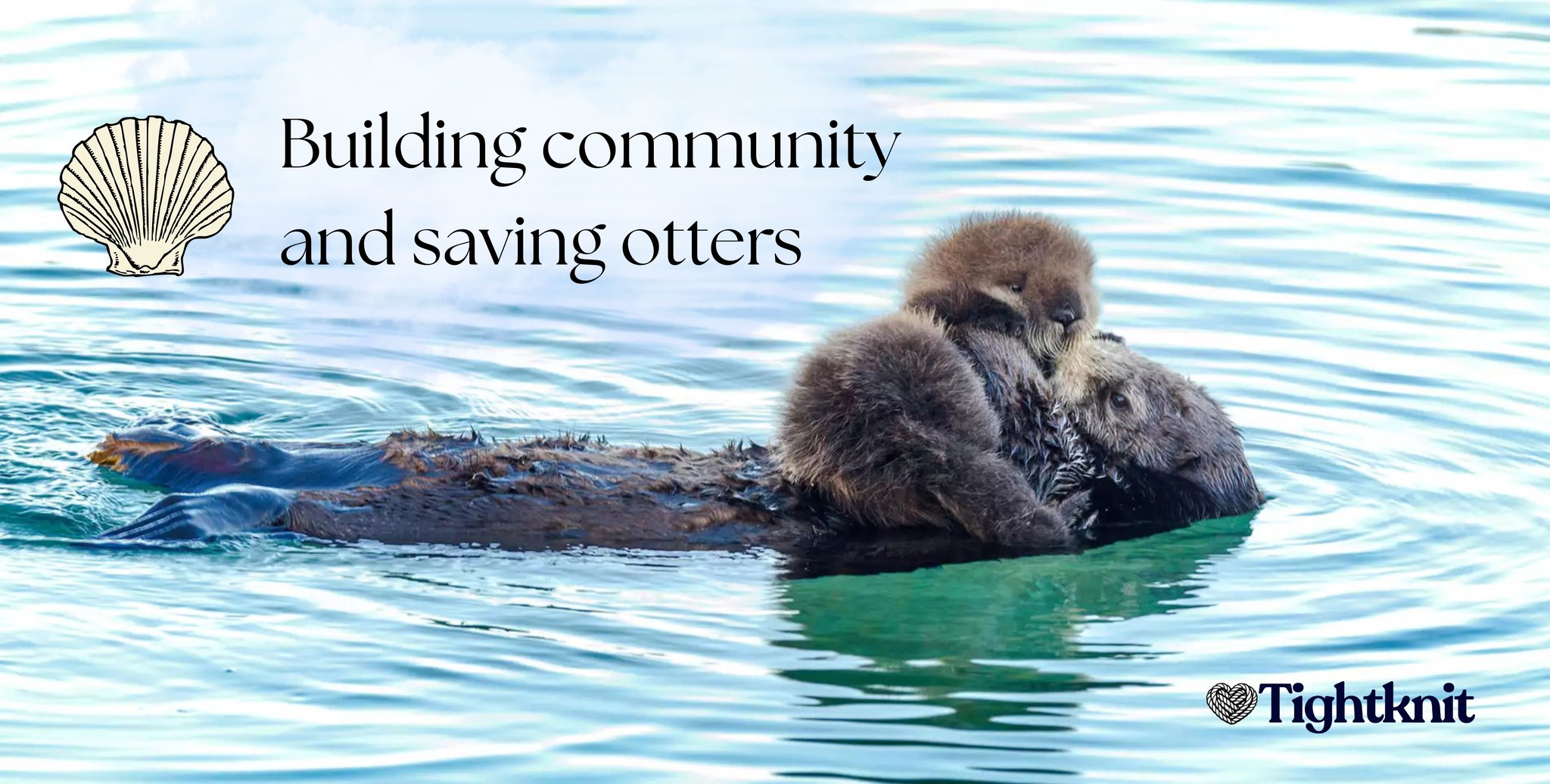 Tightknit Partners with Monterey Bay Aquarium's Otter Program