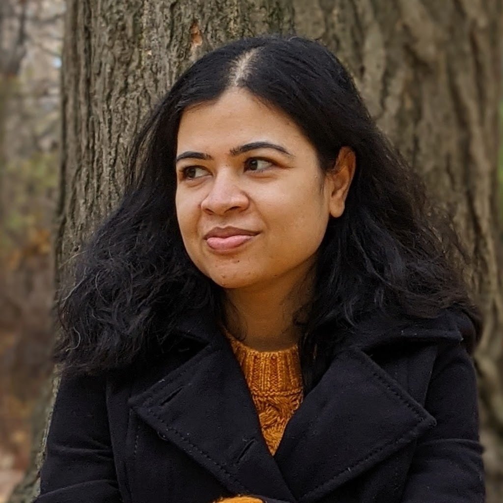 Avatar of Lipika H.