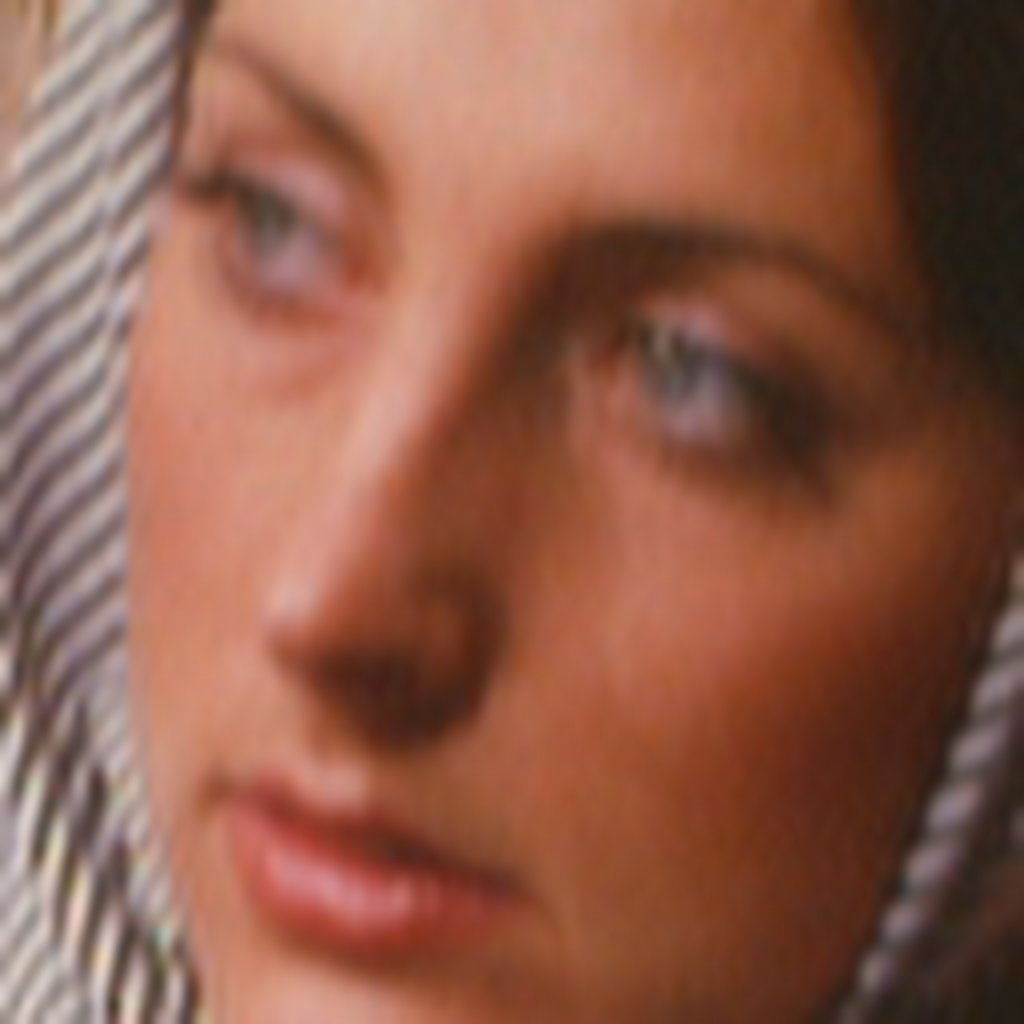 Avatar of Fa L.