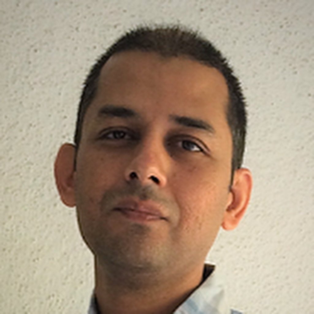 Avatar of Nilesh R.