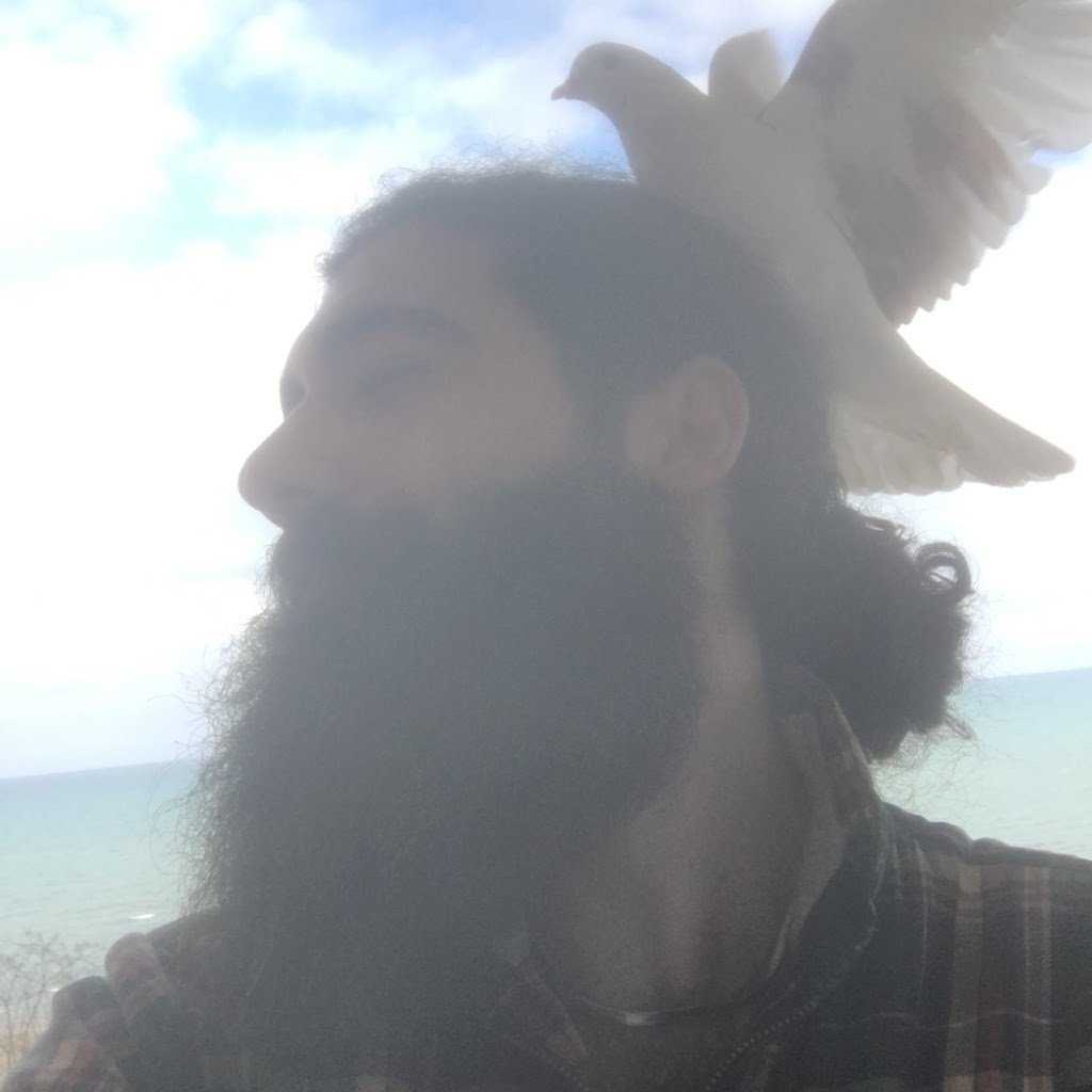 Avatar of mehrad k.