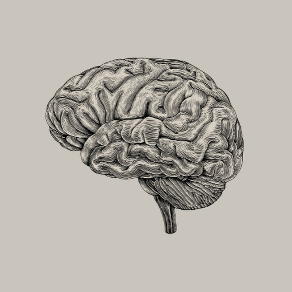 Avatar of Synapse T.