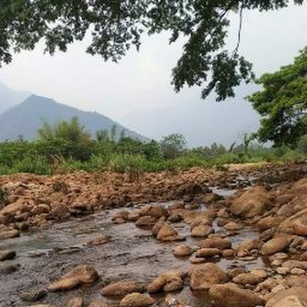 Avatar of Tharun S.