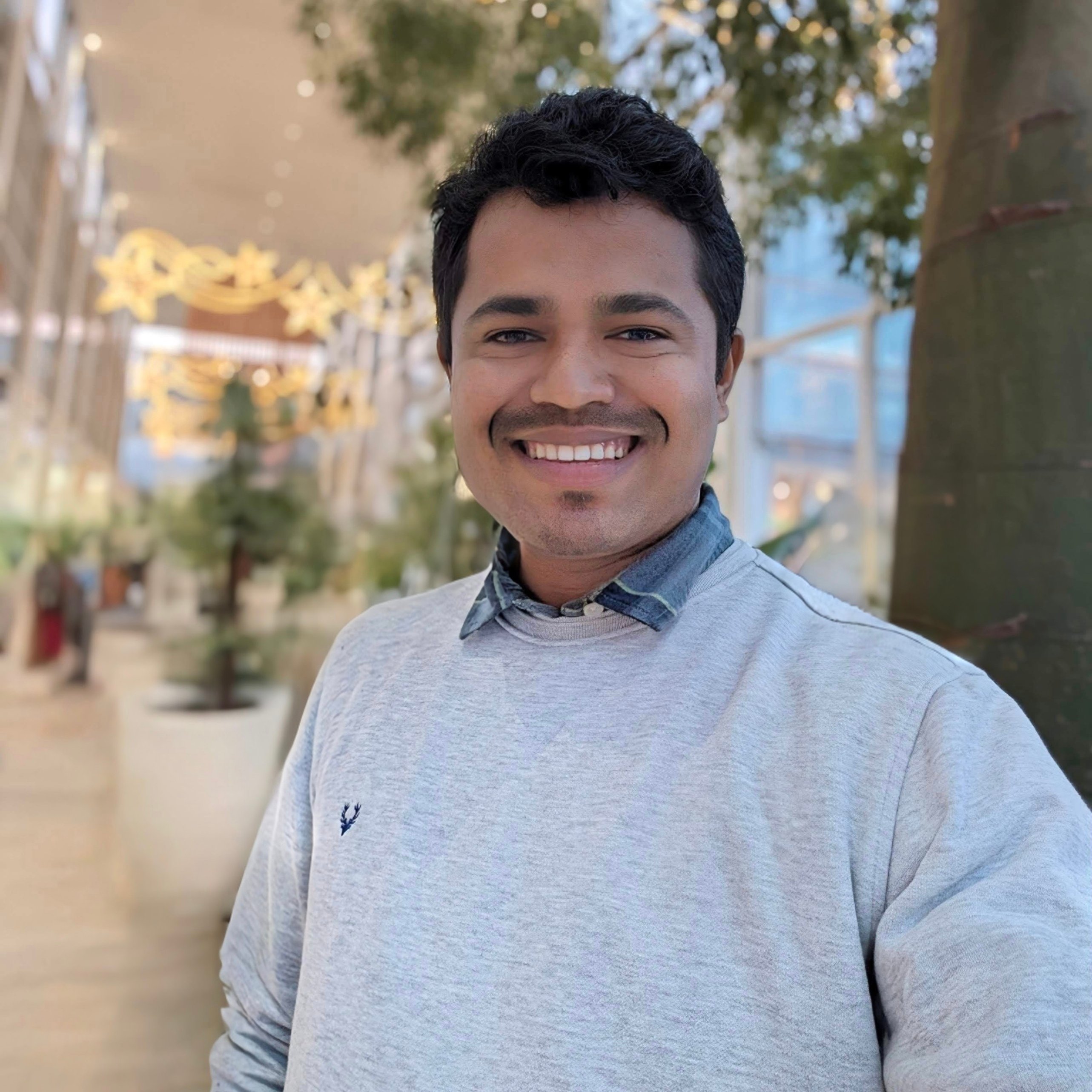 Avatar of Nilesh P.