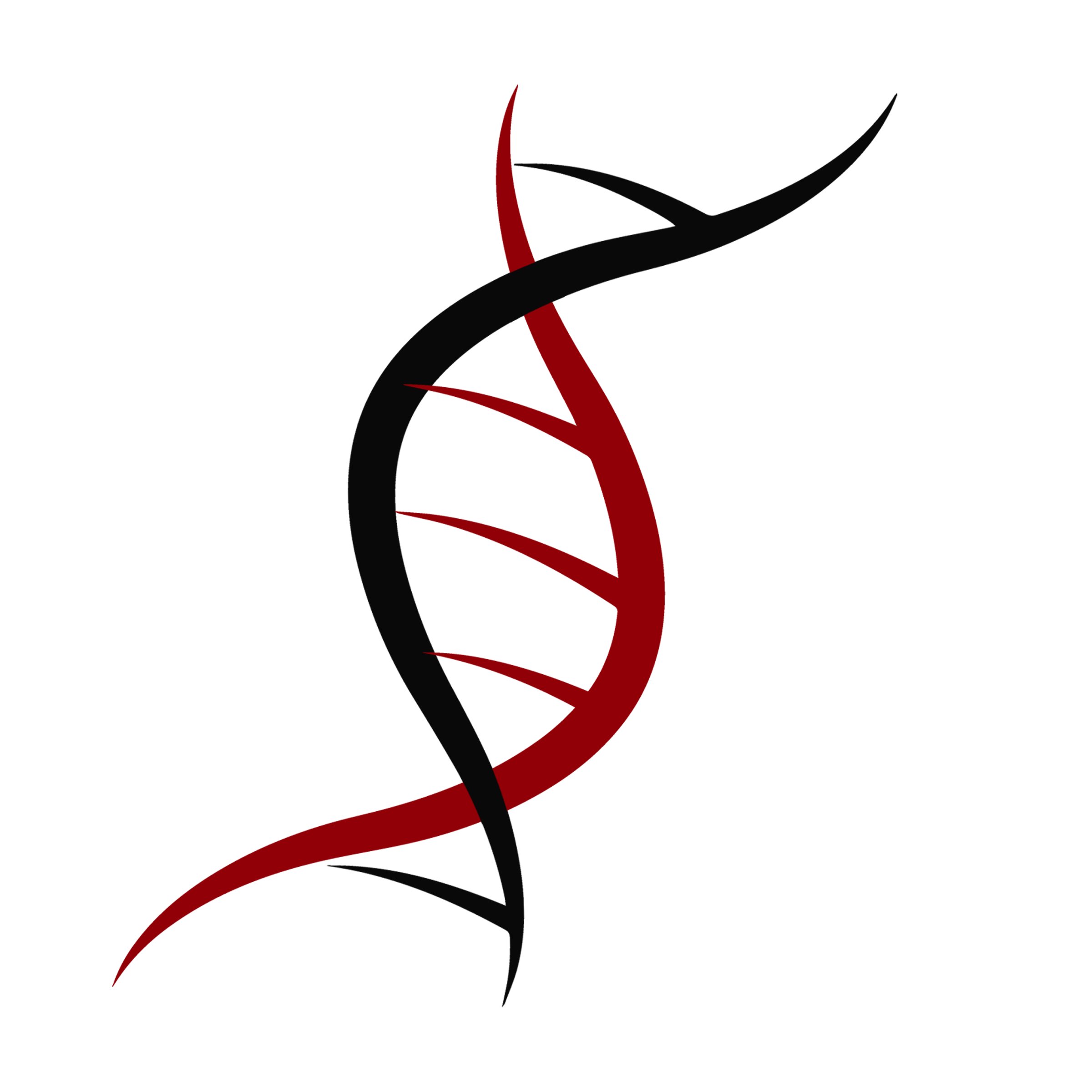 Avatar of Rob T.