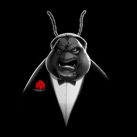 Avatar of Marin B.