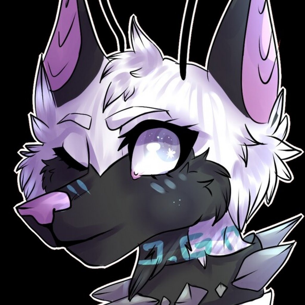 Avatar of EnchantedSnowLeopard A.