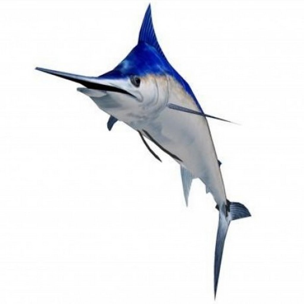 Avatar of Bruce H.
