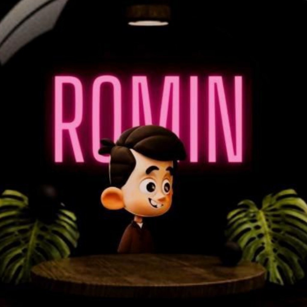 Avatar of Romin S.