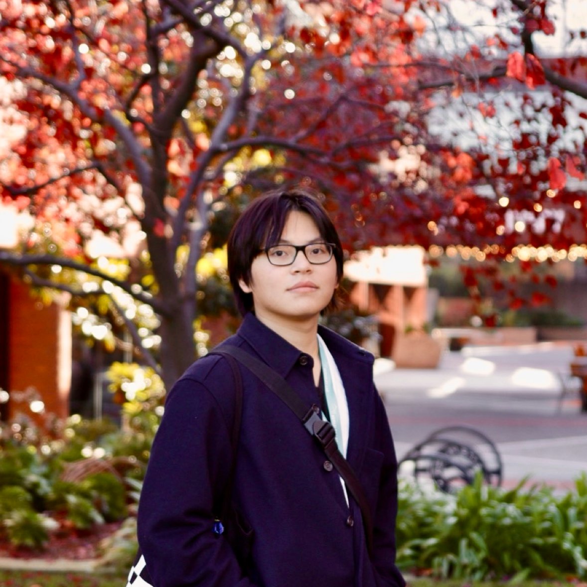 Avatar of Vinh P.
