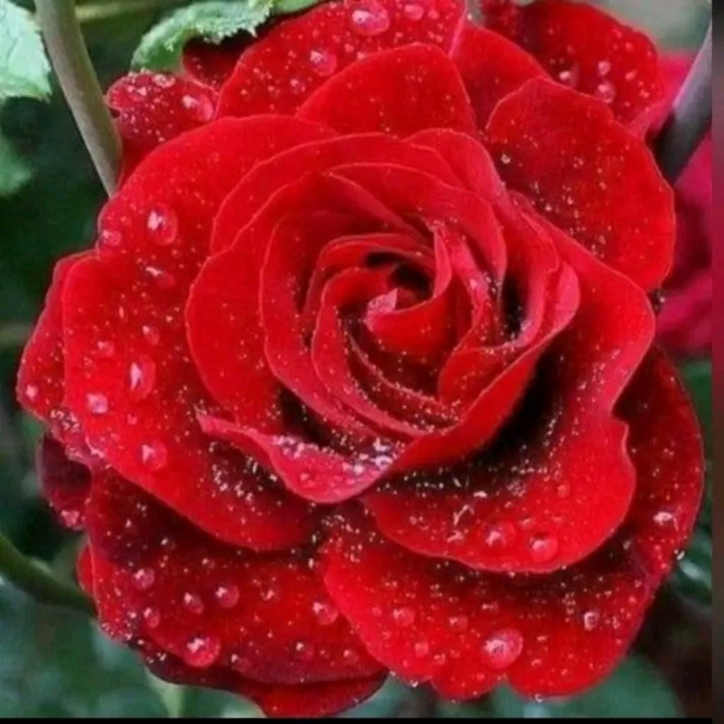 Avatar of Wonderful