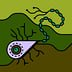 Avatar of soey l.