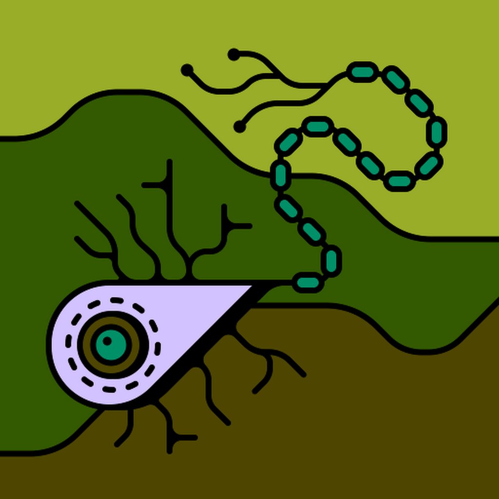Avatar of soey l.