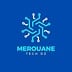 Avatar of Merouane M.