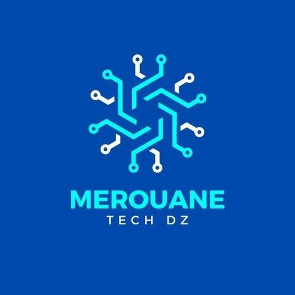 Avatar of Merouane M.