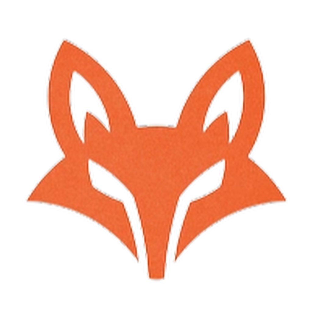 Avatar of max v.