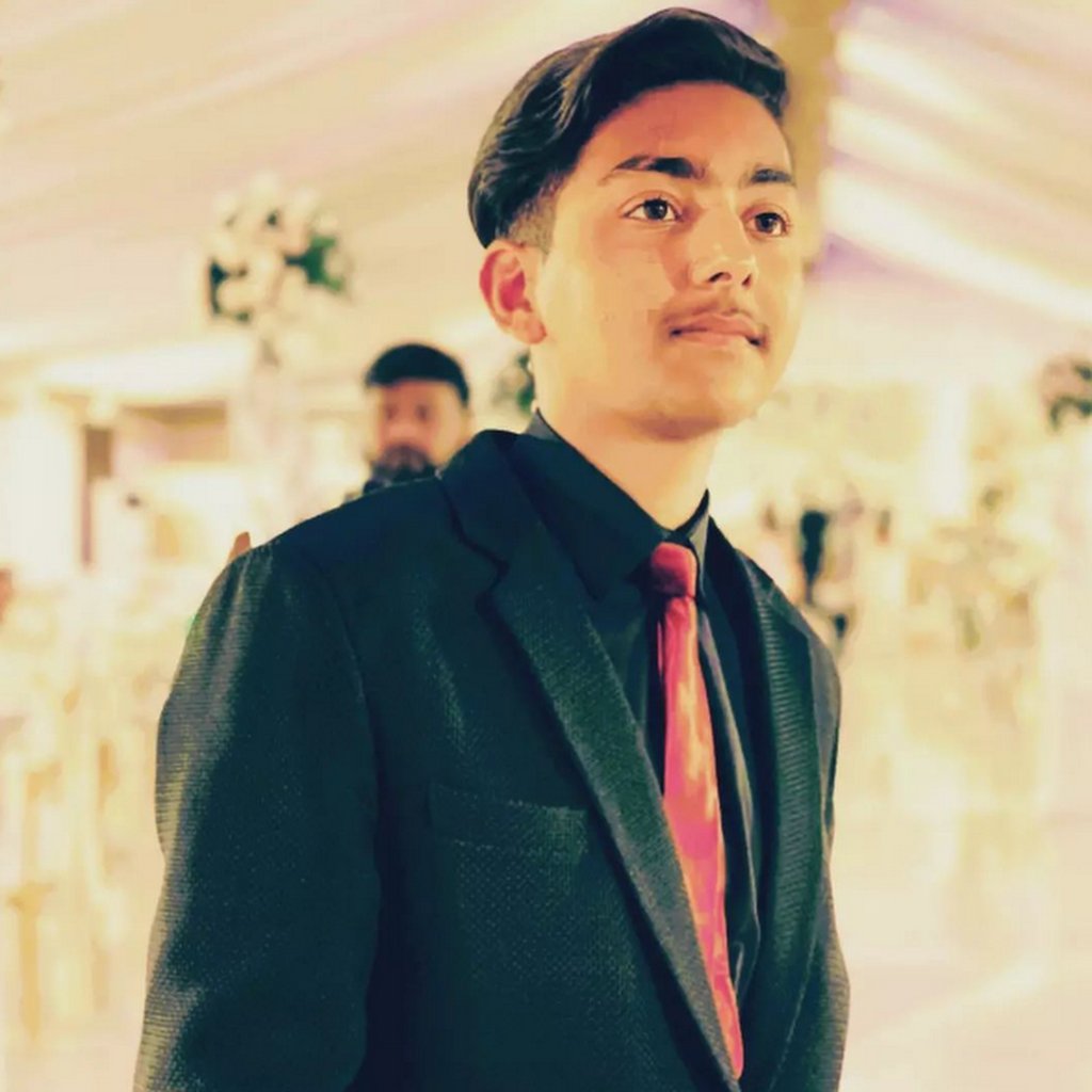 Avatar of Shayan N.