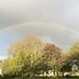 Avatar of Olivia P.