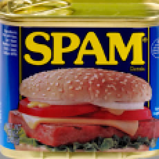 Avatar of Reporting spam