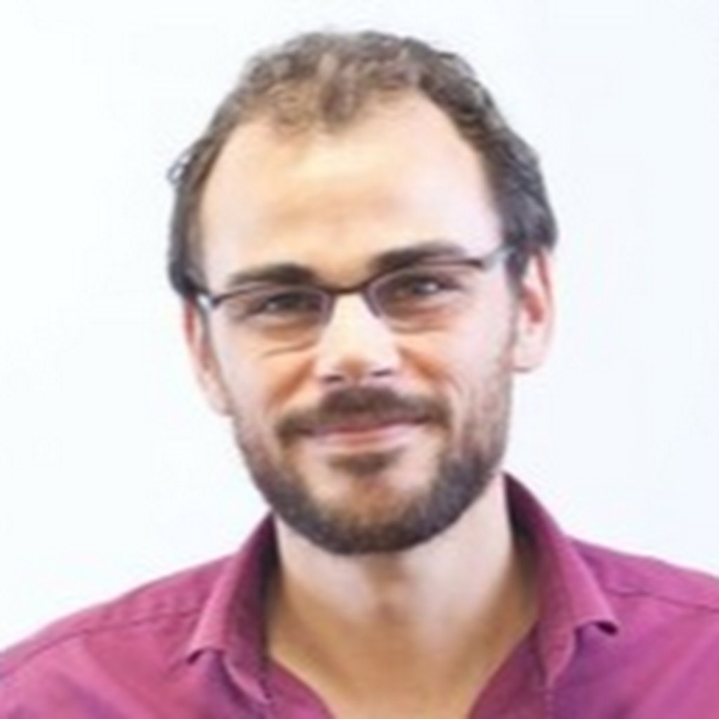 Avatar of Brice VINCENT