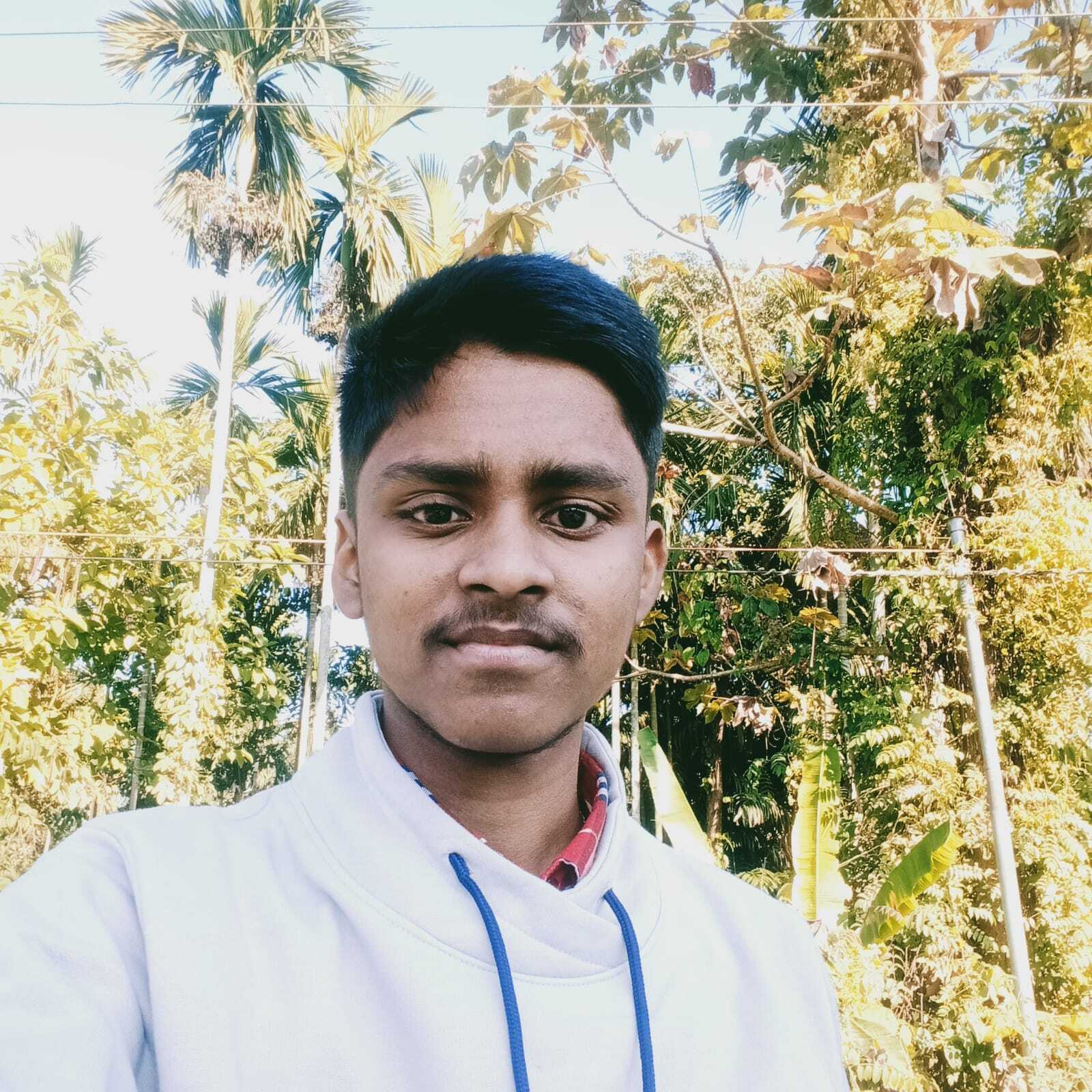 Avatar of Subankar P.