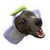 Avatar of fiona