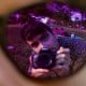 Avatar of mq