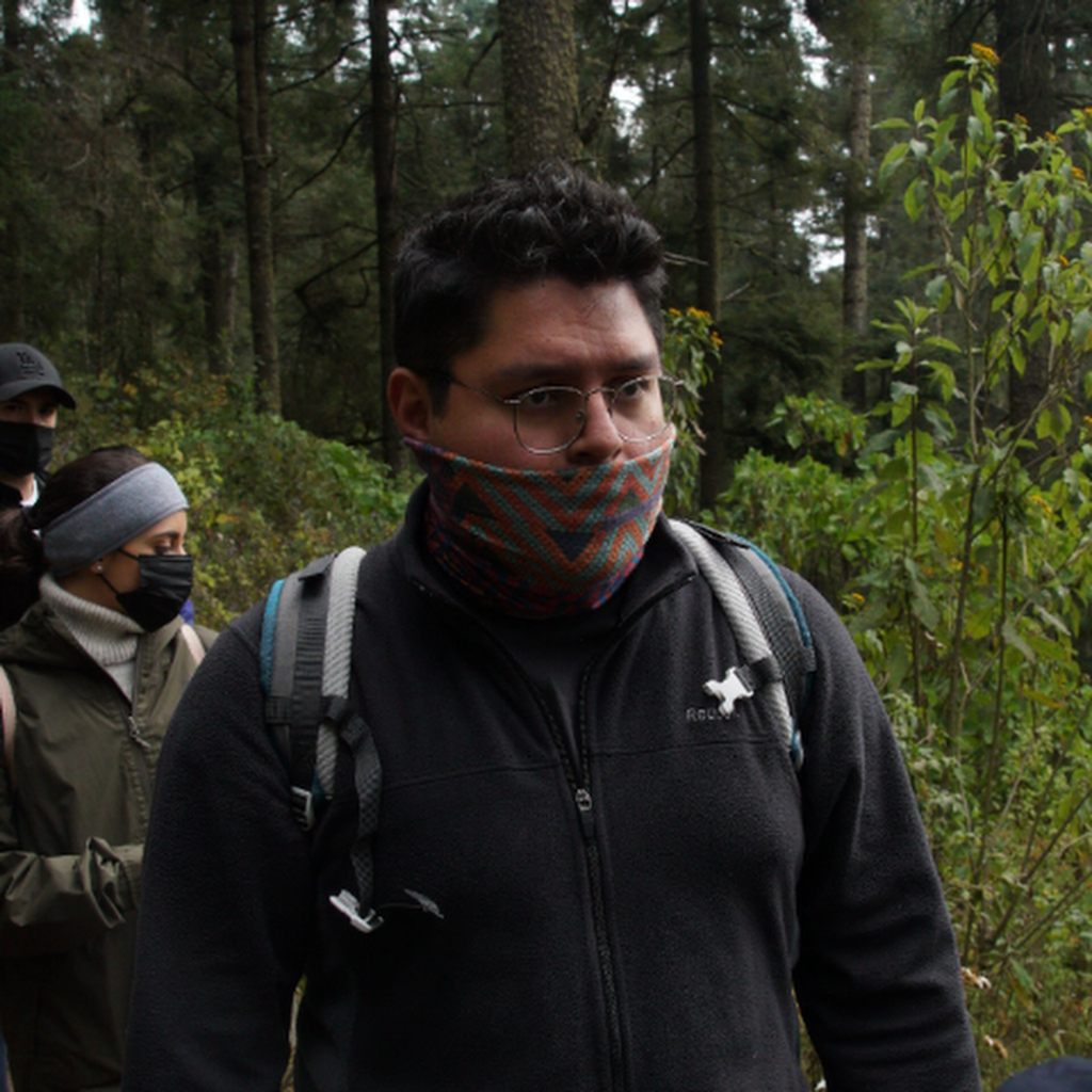 Avatar of Fernando R.