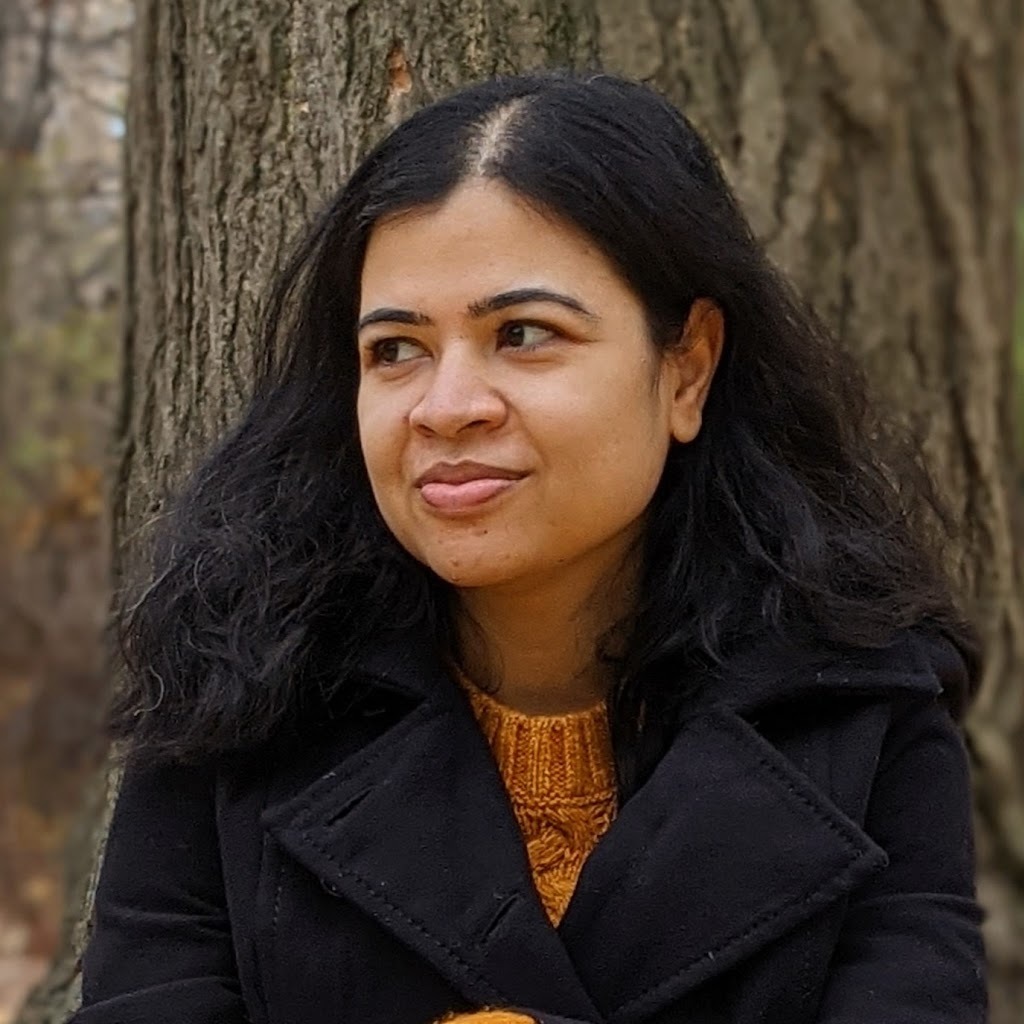 Avatar of Lipika H.
