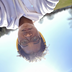 Avatar of Davida P.