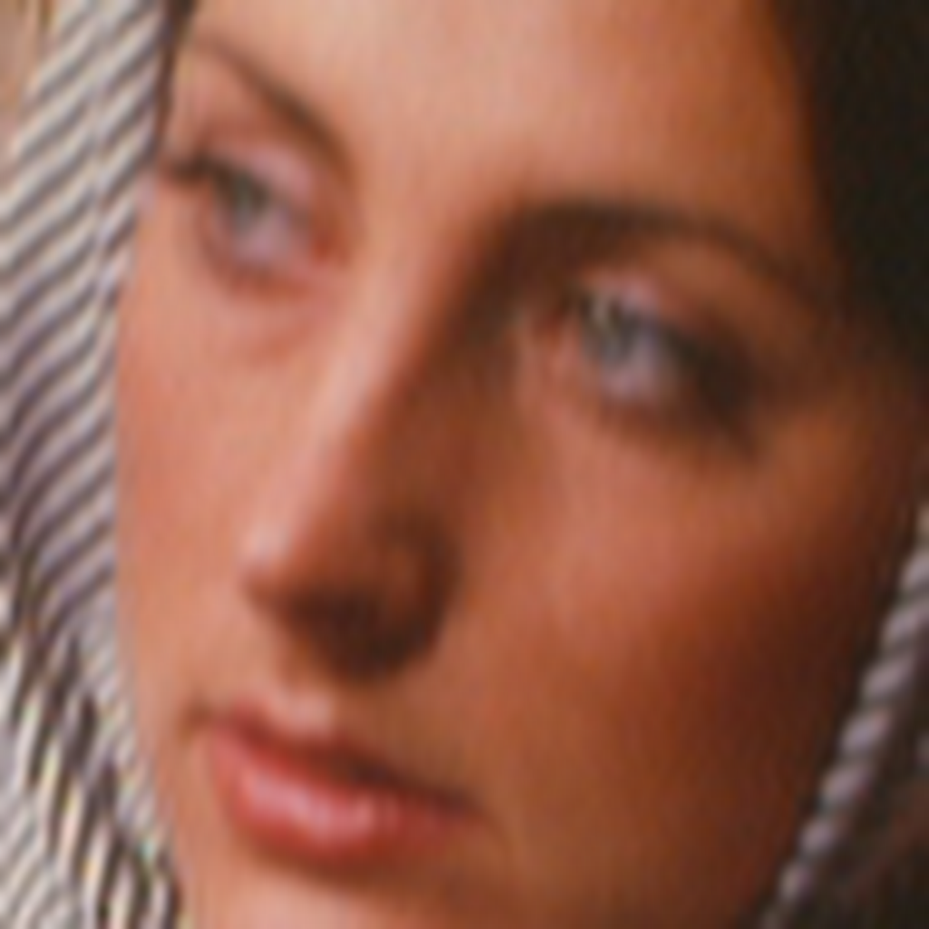 Avatar of Fa L.
