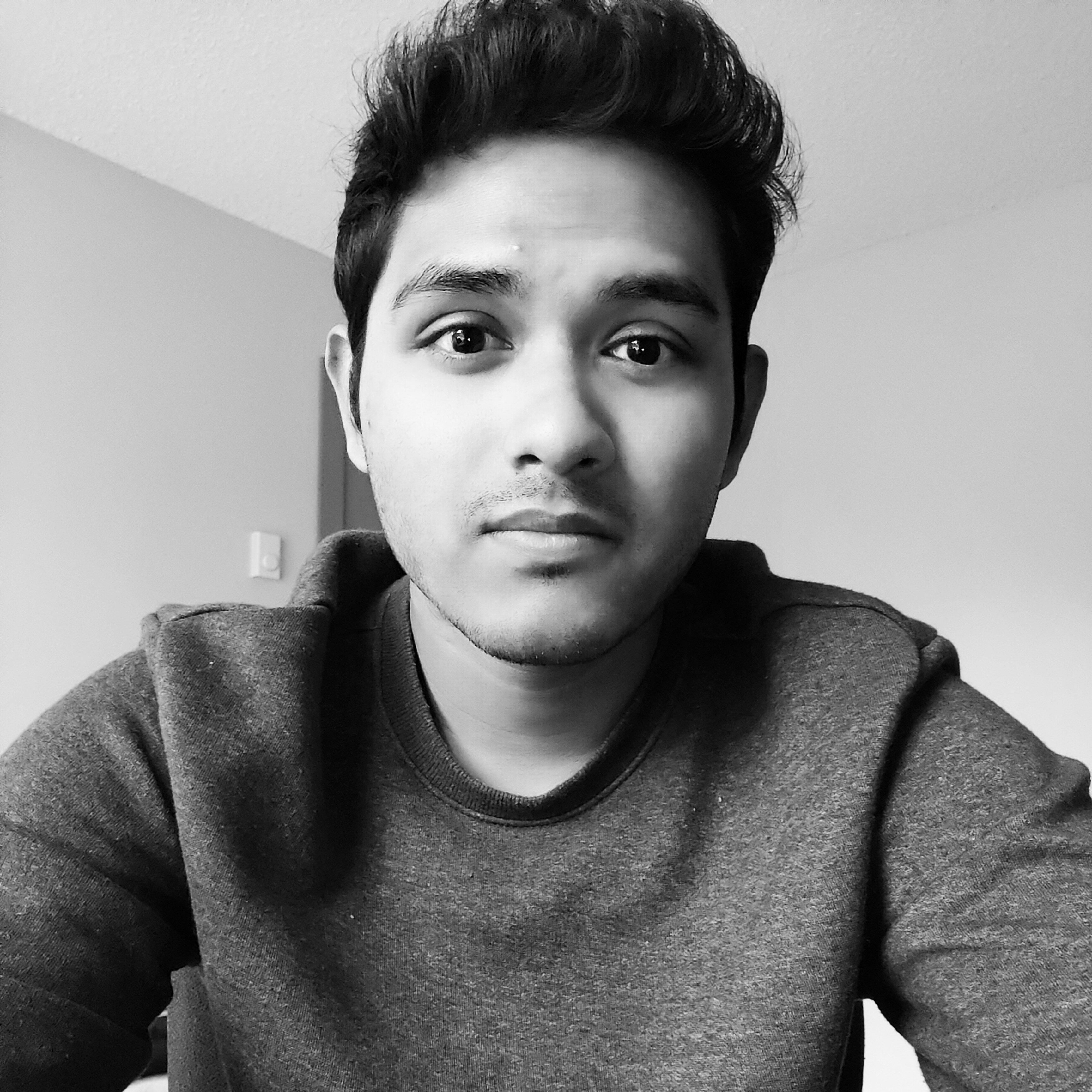 Avatar of Nilan S.