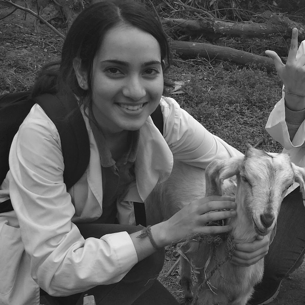 Avatar of Apeksha B.