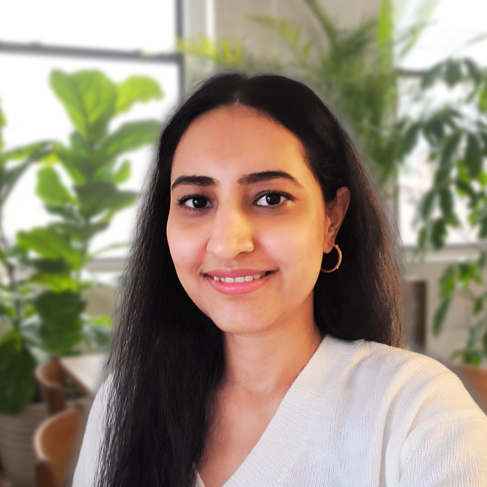 Avatar of Rumeet Sodhi