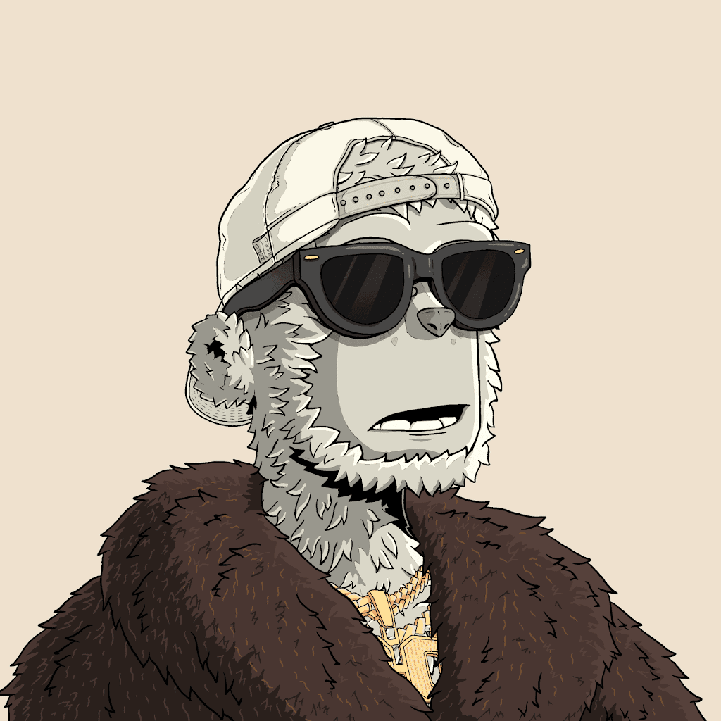 Avatar of 0xZaim