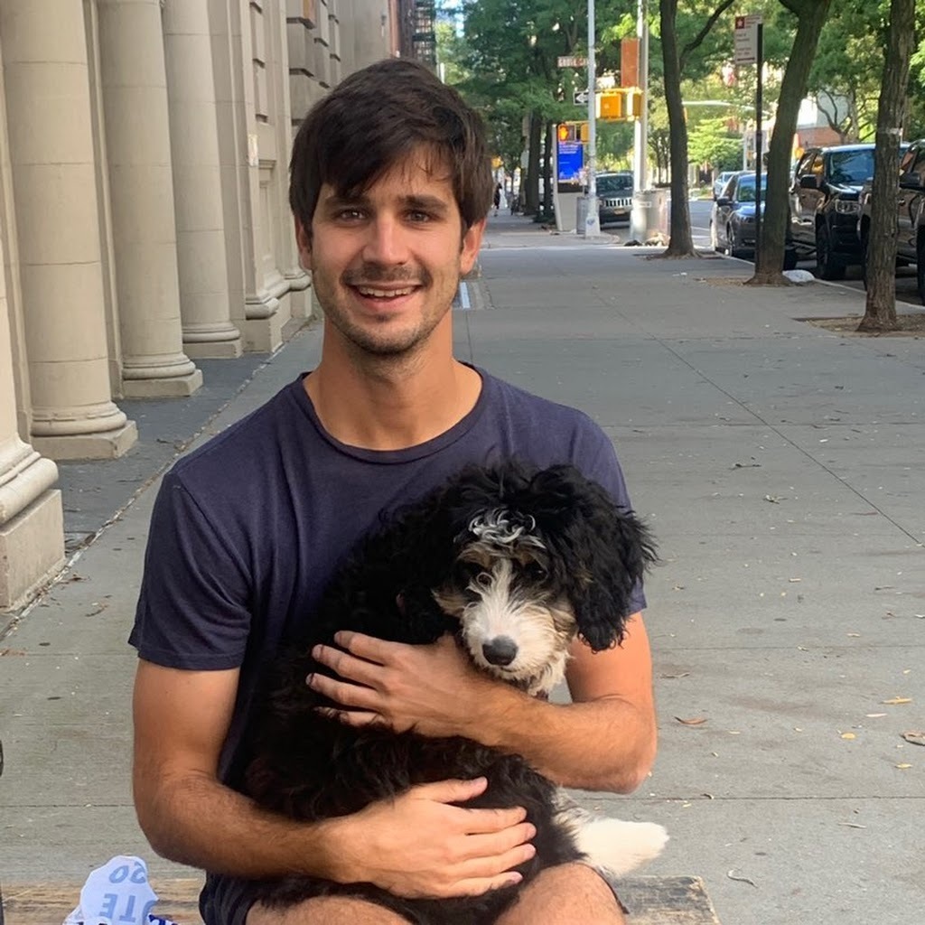 Avatar of Francesco D.