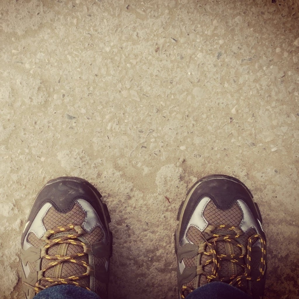 Avatar of amirhossein n.