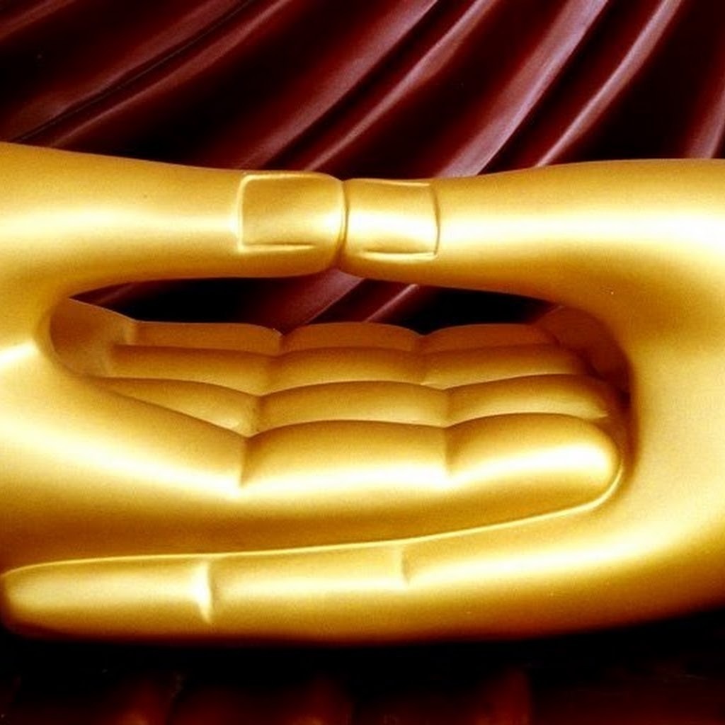 Avatar of Muni A.