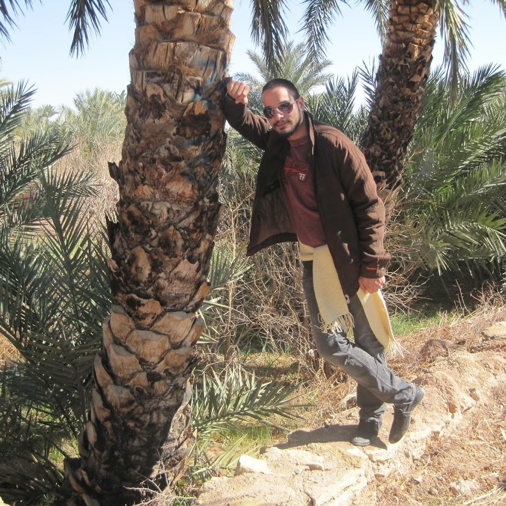 Avatar of Sina S.