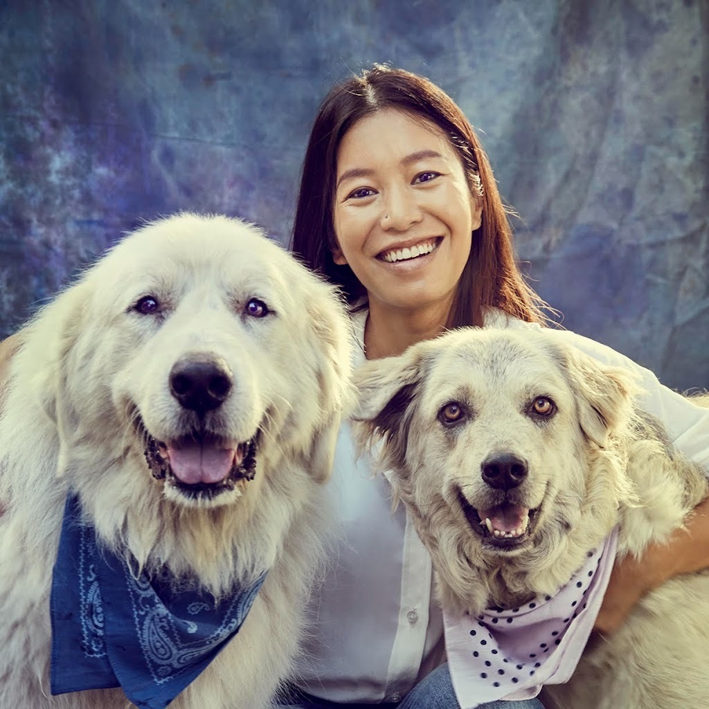 Avatar of Van Hoang