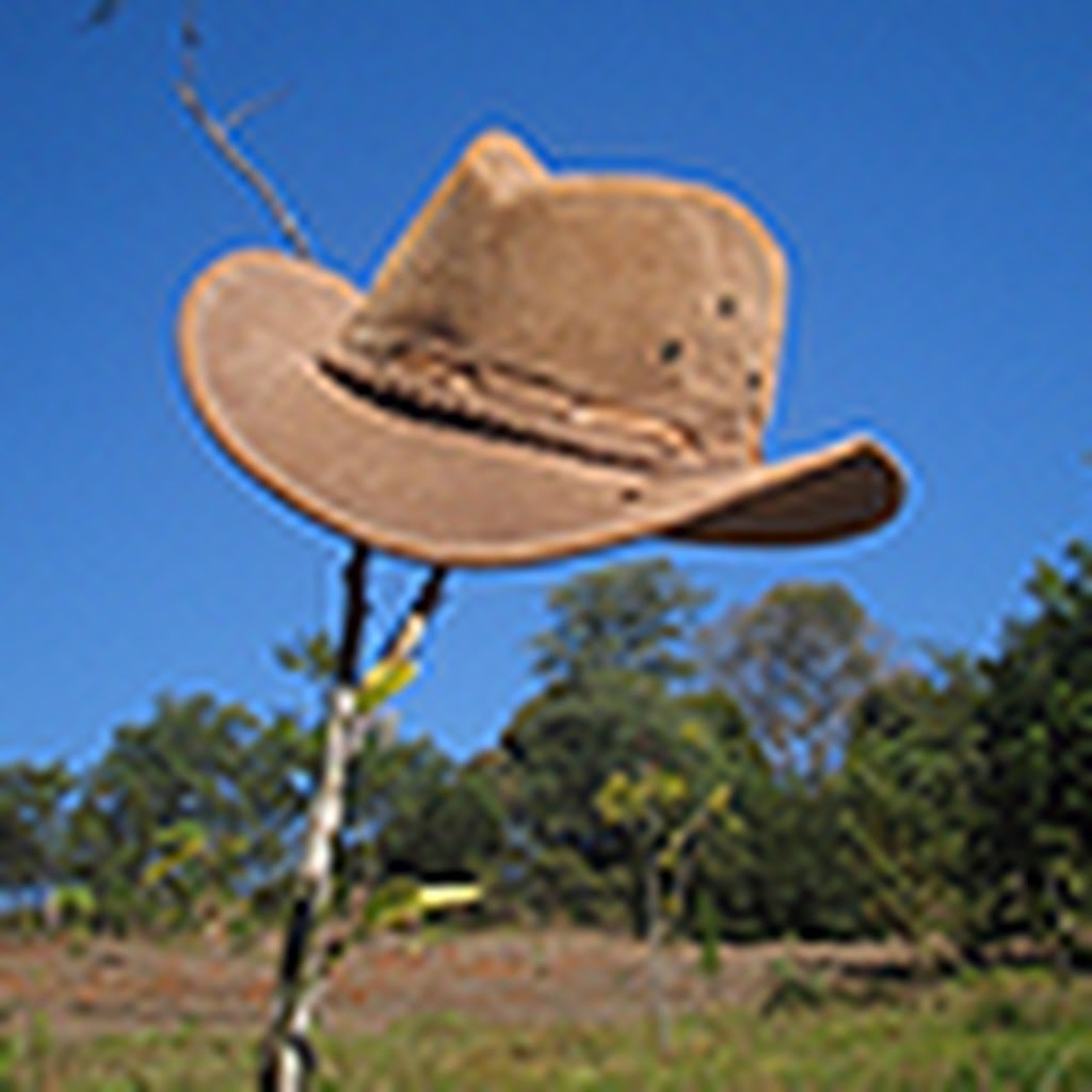 Avatar of Mateus R.