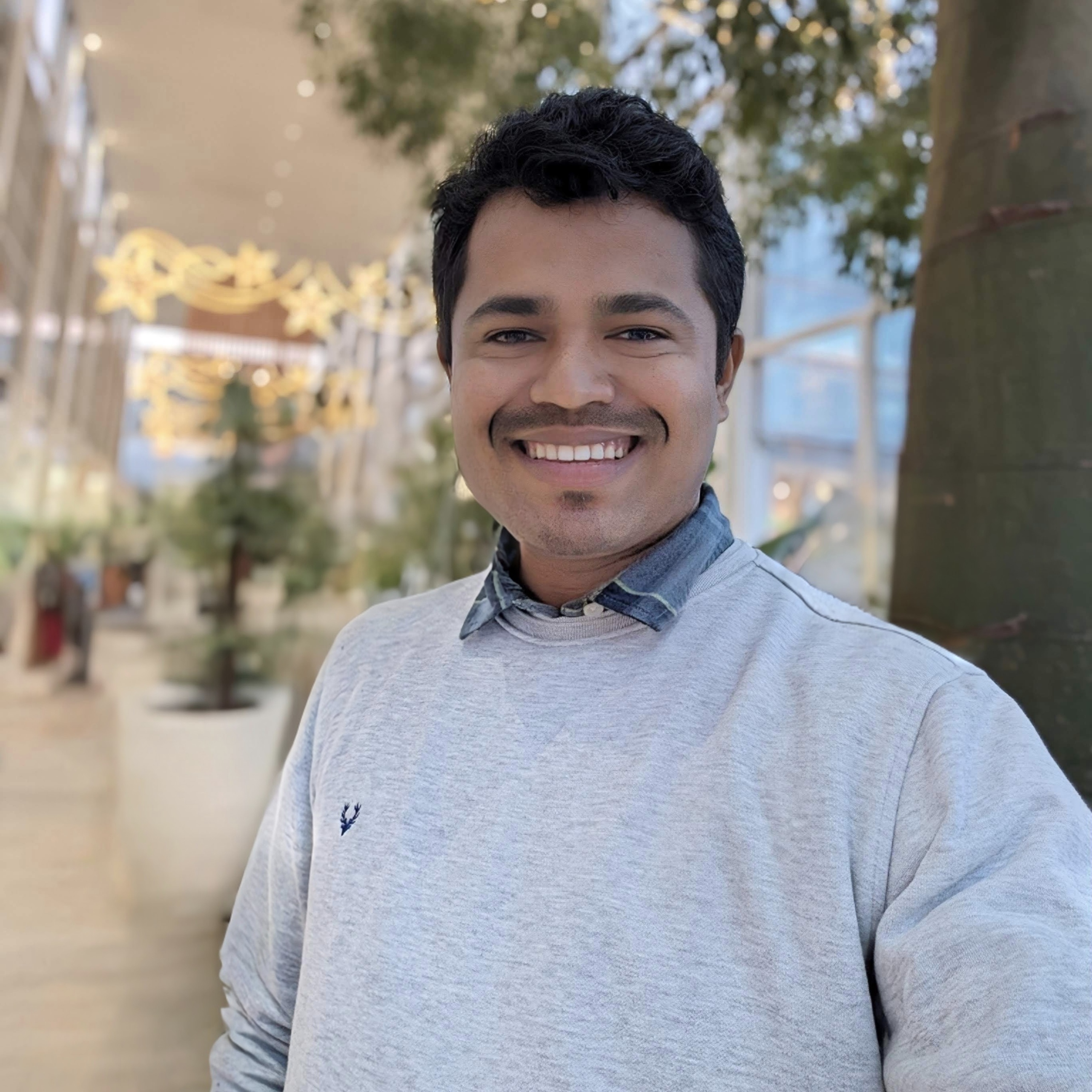 Avatar of Nilesh P.