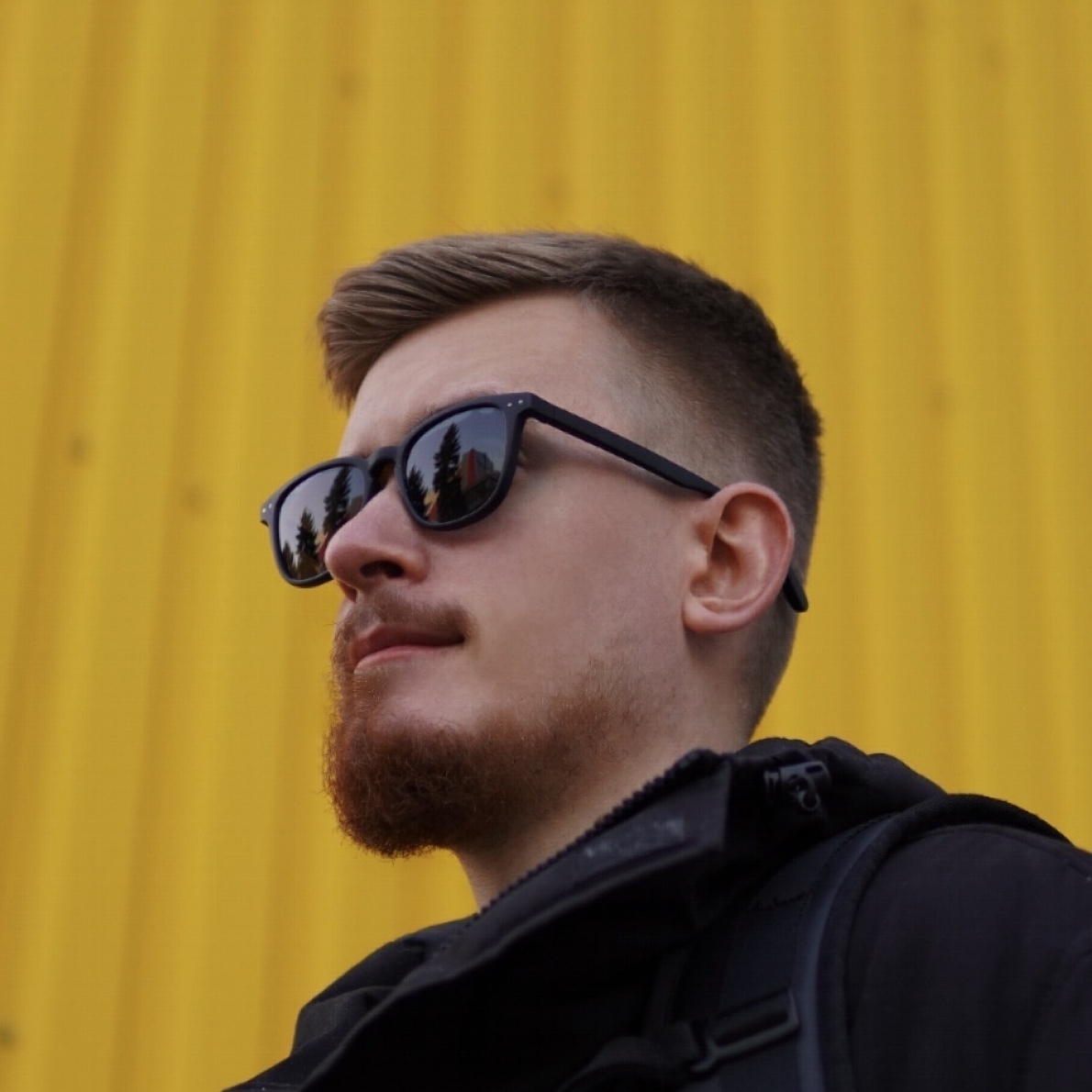 Avatar of Dmitry S.