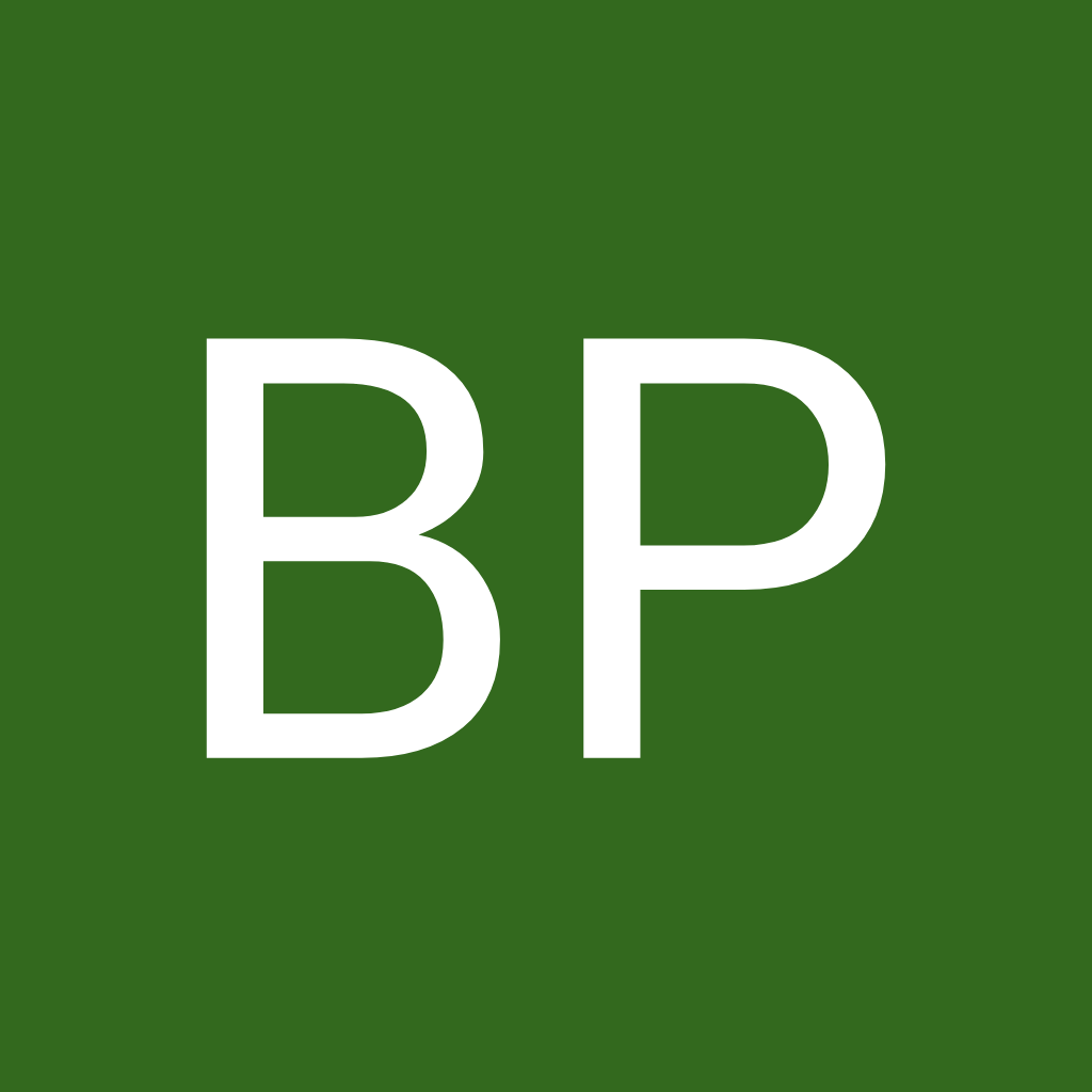 Avatar of BP M.