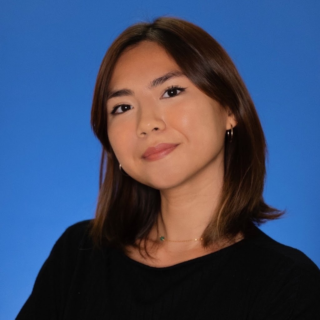 Avatar of Nhu Vo