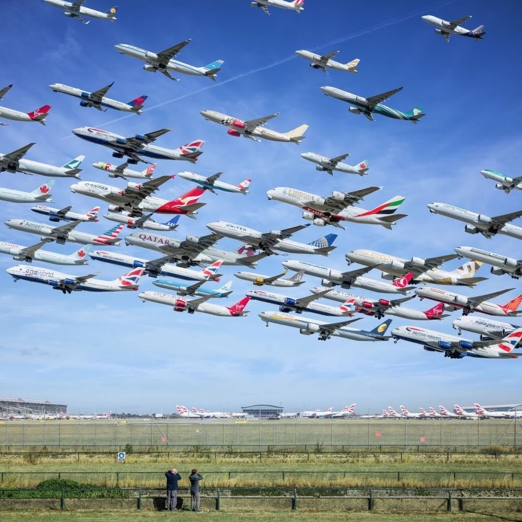 Avatar of Flight T.