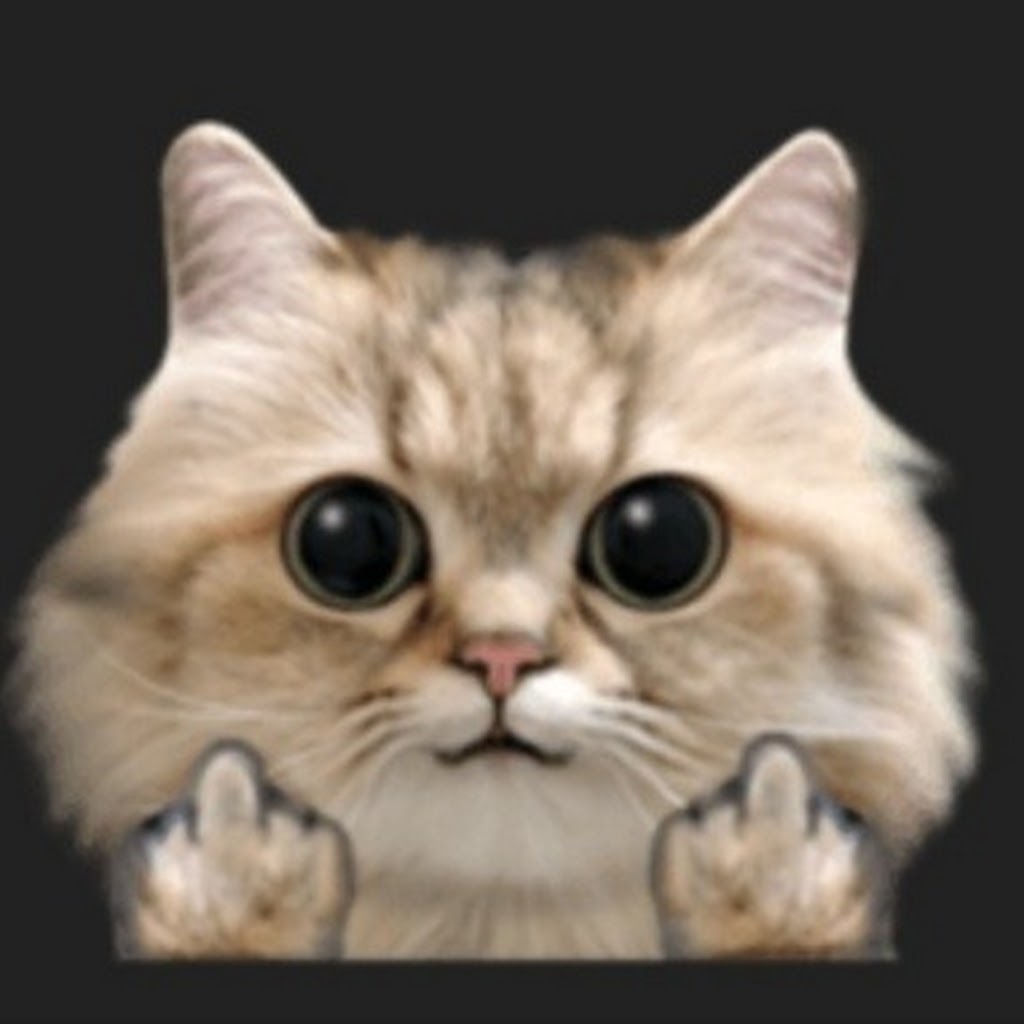 Avatar of Tijzeke