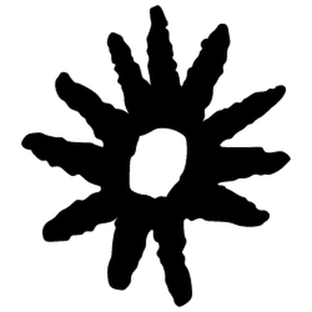 Avatar of Marina G.