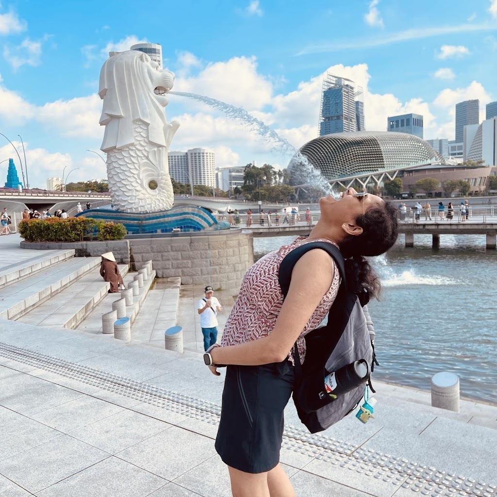 Avatar of Sandhya N.