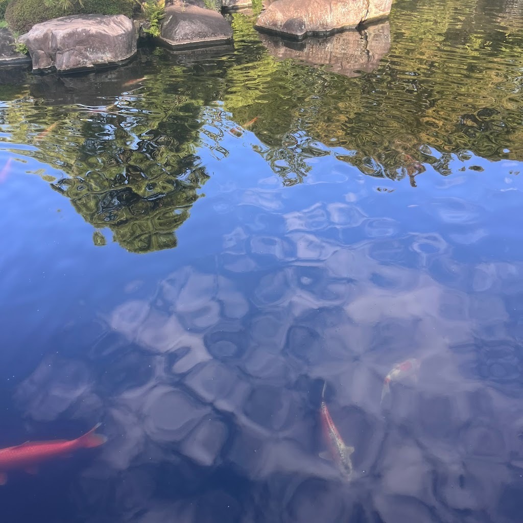 Avatar of 竹本琉捺